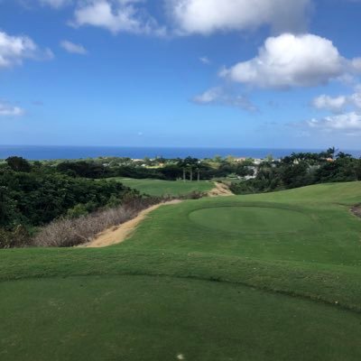 Investor. Telecom and High Tech. Passions. Golf Chelsea and Barbados. Gluton Free Advocate.