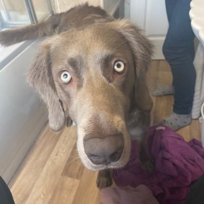 HeslopBen's profile picture. 