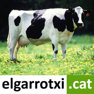 elgarrotxi_cat Profile Picture