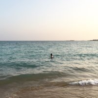 archive (@hytttt) 's Twitter Profile