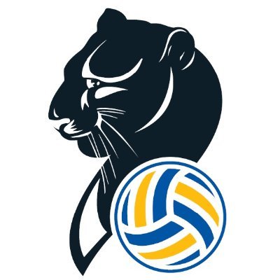 Imoco Volley Auf Twitter Grazie Pantere Bronzo Clf4bucharest