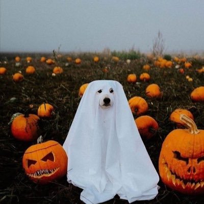 fordddstudio's profile picture. feed me