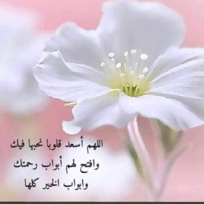 su52807880's profile picture. 