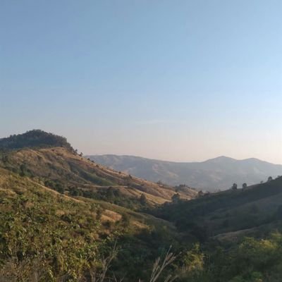 FonKng's profile picture. รักอิสระเสรีคือความสุขในชีวิต