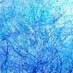 the motu proprio (@maitibus) Twitter profile photo the motu proprio (@maitibus) Twitter profile photo