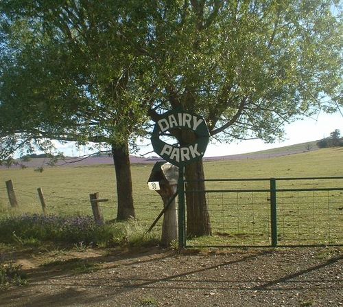 Farm in Australia offering farm holidays for everyone, bringing people back to food.