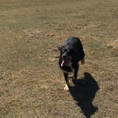 jordigros4's profile picture. 