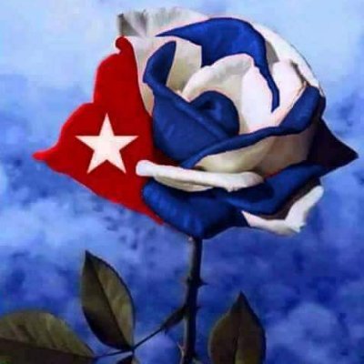 CantilloAmanda's profile picture. Soy carismatica, alegre y muy comunicativa