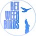 BetweenBirds (@between_birds) Twitter profile photo