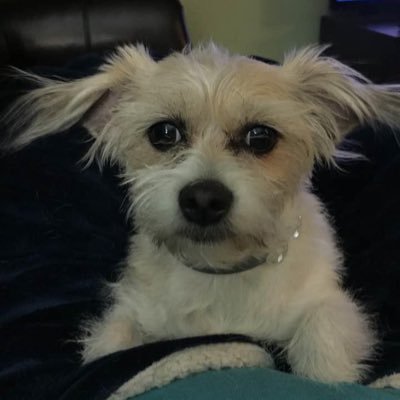 CarolynJTilton's profile picture. Retired Social Worker, Aspiring Writer, Widow and mother to two wonderful human beings.