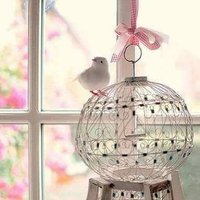 🍀ςυℓℓ⍳ȵαȵ ପઉ (@cullinan___11) 's Twitter Profile