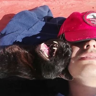 rocbarrial's profile picture. rock barrial tipo country