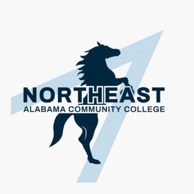 NACCMustangs Profile Picture