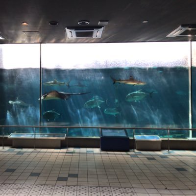 townwork10's profile picture. 