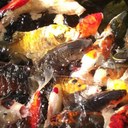 John Doogan - @John_Doogan - Twitter