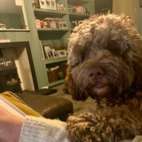 Kerry Mcdowell (@kmcd1976) 's Twitter Profile