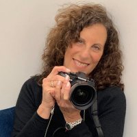 Sheryl Checkman (@diveartist) 's Twitter Profile