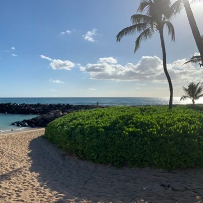 Professional designer, wife, mother and wanna be beach bum. Just want to live on an island in the pacific. 🤙🏼