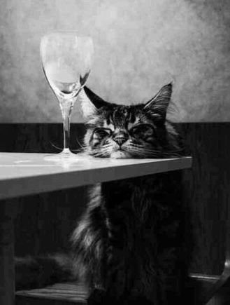 worriesprincess's profile picture. 