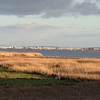 DebM95550429's profile picture. Just trying to be kind. A simple idea.