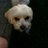 Twitter result for Crafting Direct from Jimmy30222908