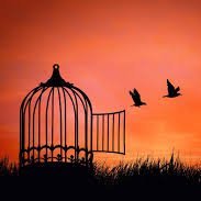 MoveAndShake9's profile picture. 