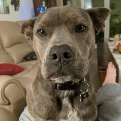 SouthernComf44's profile picture. 