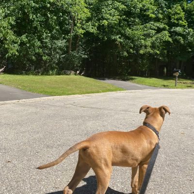 FF_Fish20's profile picture. Packers, Bucks, Brewers