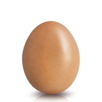 Egg(@TrumpNewsMax) 's Twitter Profile Photo