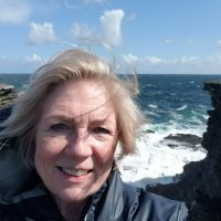 Nancy Coleman Burke (@nanseaburke) 's Twitter Profile