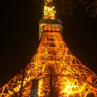 中島みゆきさんが大好きです💕MJダンスと東京タワーも！