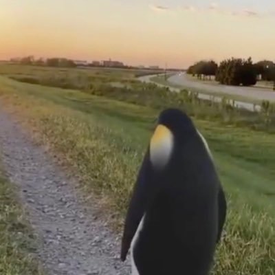 Trumley31's profile picture. 