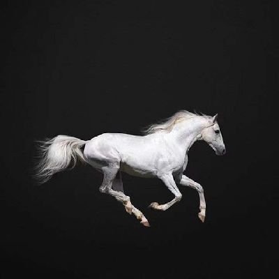Terrenc45209788's profile picture. I'm a curious person.