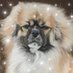 Carolyn Cree (@carolyncree) Twitter profile photo Carolyn Cree (@carolyncree) Twitter profile photo