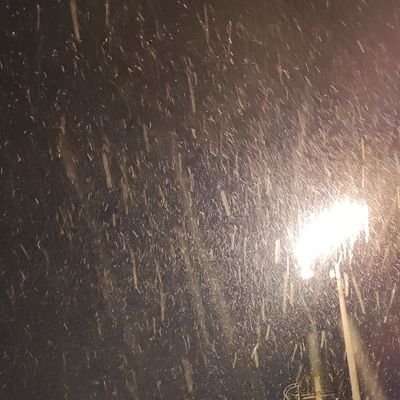 york41163504's profile picture. 
