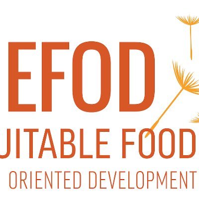 Equitable Food Oriented Development (EFOD) is a development strategy that uses food and agriculture to create healthy neighborhoods and build community assets.