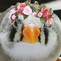 V🐦Walker(@ooyyooyyoo) 's Twitter Profile Photo