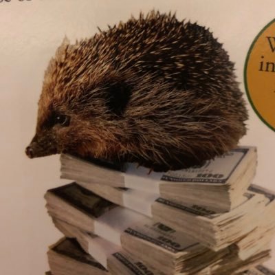 Hedge_Hogging's profile picture. Finance. Macro. Politics. Geopolitics. It’s not about money, it’s about sending a message. Will not comply.