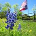 TexasTony (@texhwy6) Twitter profile photo TexasTony (@texhwy6) Twitter profile photo