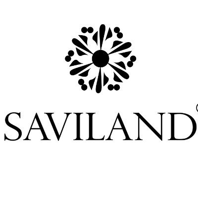 Saviland 2024
