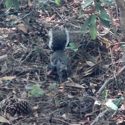 eye_shoe's profile picture. 