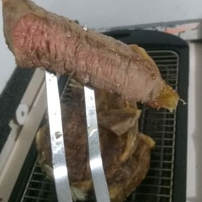 brincando na vida
