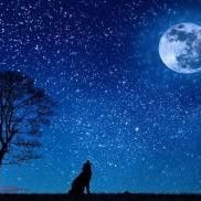 melkyfernando7's profile picture. 