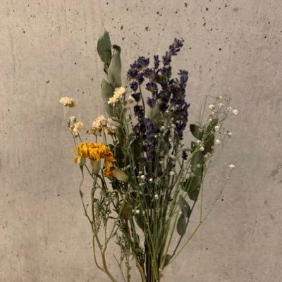 XpStZa0XuQk3ji0's profile picture. 慶応文系/情報収集/#24卒/低浮上