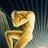 ckshrugged's profile image