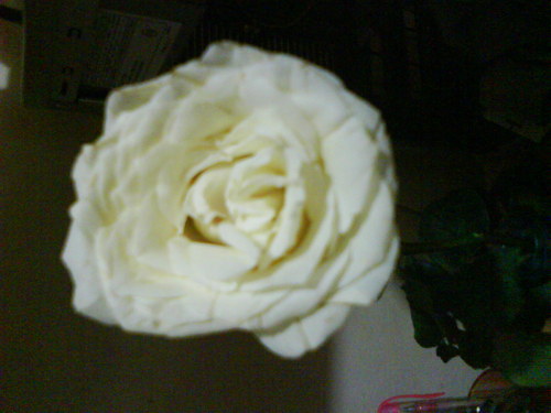 Watch na ng Mara Clara!, I auto followback, follow me