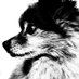 shoota (@shoota) Twitter profile photo shoota (@shoota) Twitter profile photo