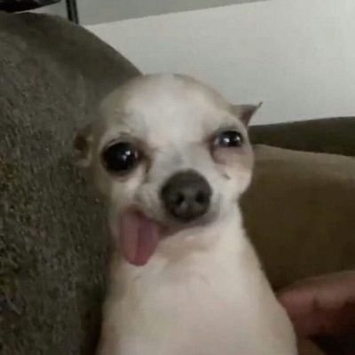 idk why exist