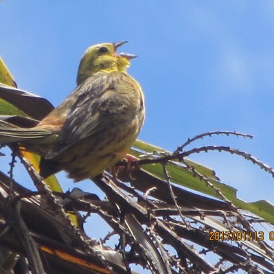 Sheilap1996swbw's profile picture. caring about the planet and people