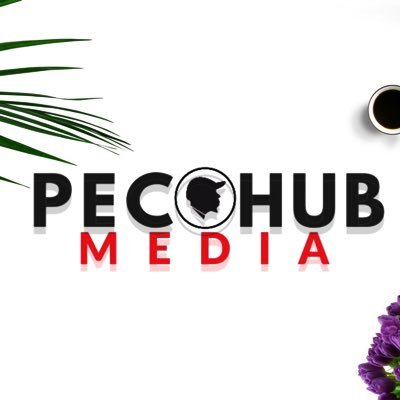 PECOHUB MEDIA Profile